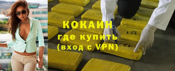 шишки Вязники