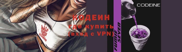 apvp Вяземский