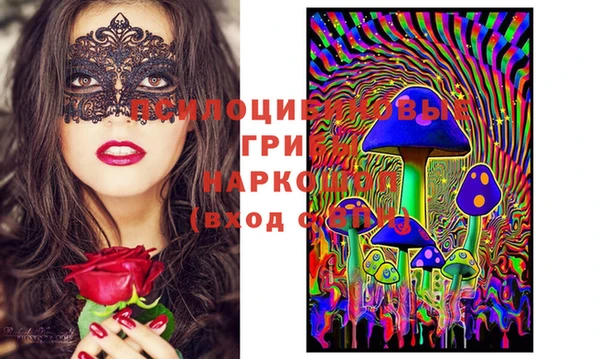 шишки Вязники