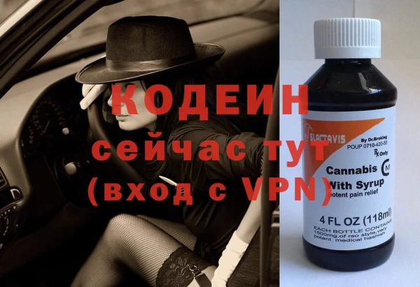 apvp Вяземский