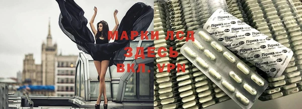apvp Вяземский