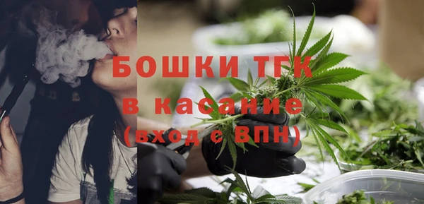 шишки Вязники