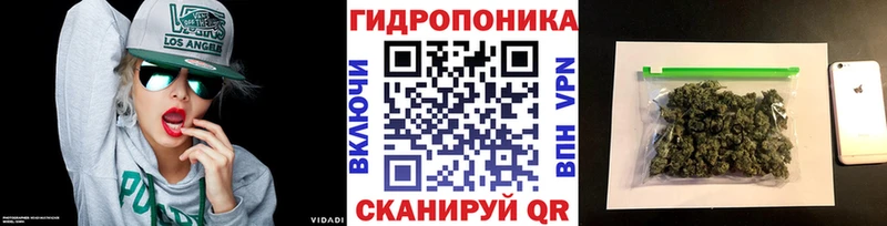 как найти закладки  Камышин  Конопля THC 21% 